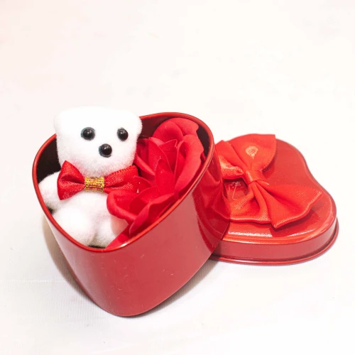 Caja Corazón de metal de regalo