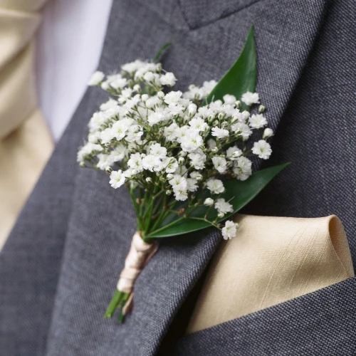 Botonier de Gypsophila
